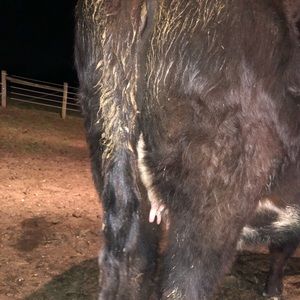 Meet your Posher, Derek